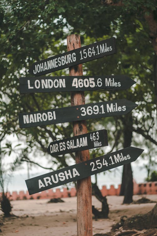 Signpost with Arrows