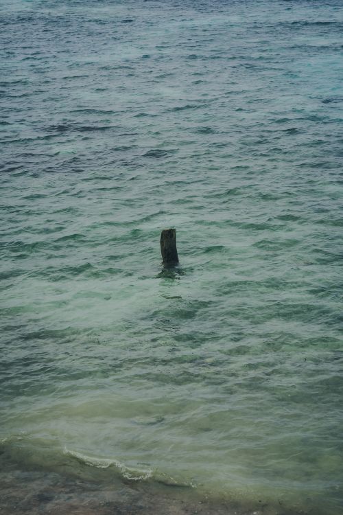 Free A tranquil scene of gentle ocean waves surrounding a solitary wooden post in clear blue water. Stock Photo