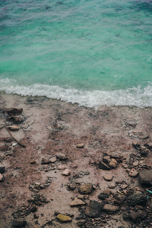 Photo of a Sea and Seashore