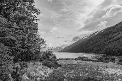 Grayscale Photo of Trees and Mountain Near Body of Water