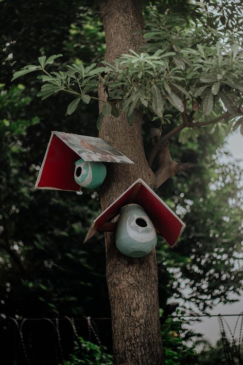 Free Two vibrant birdhouses attached to a tree surrounded by green foliage in a serene outdoor setting. Stock Photo