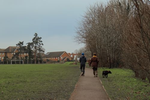 Free A couple walks their dog along a paved path beside leafless trees and residential homes. Stock Photo