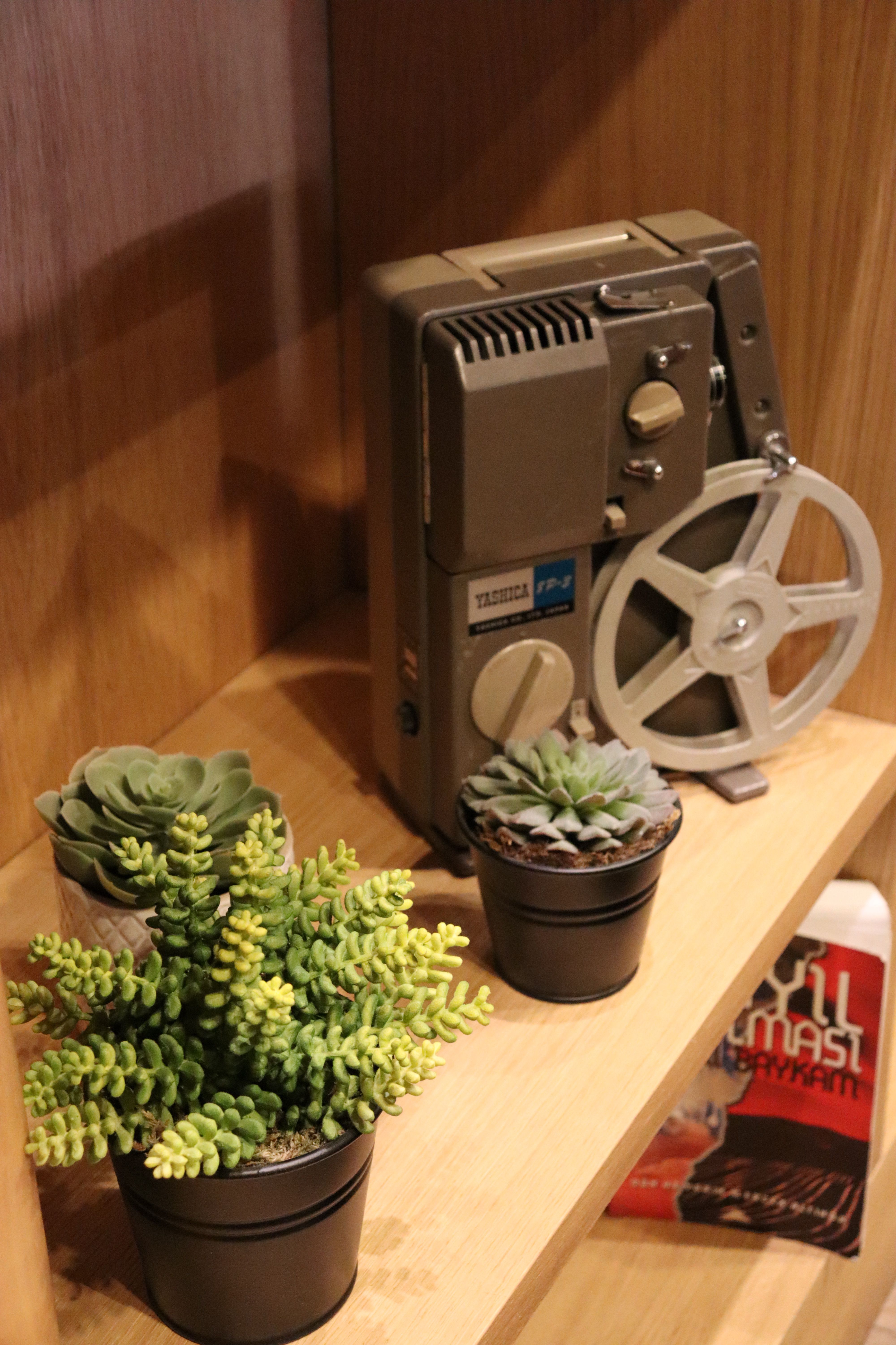 Photograph of Plants Near a Projector · Free Stock Photo