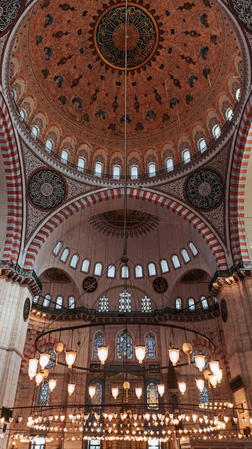 Foto stok gratis bagian dalam, Istanbul, kalkun