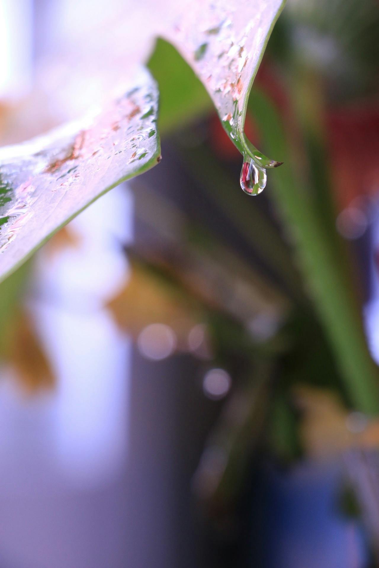 How to Use Your Pampered Chef Steamer A StepbyStep Guide