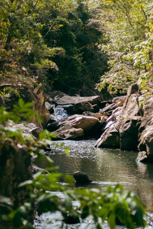 Free Peaceful forest stream with rocks and lush greenery in Brazil, perfect for nature and tranquility themes. Stock Photo