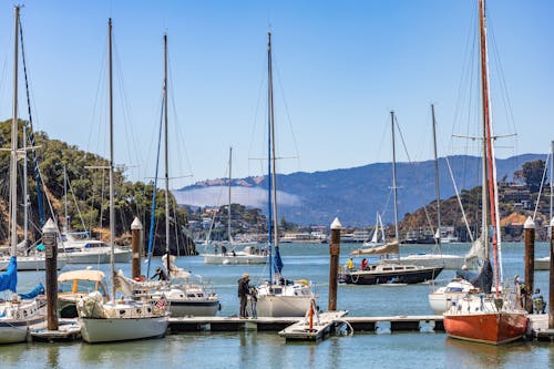 Sailboats on Dock