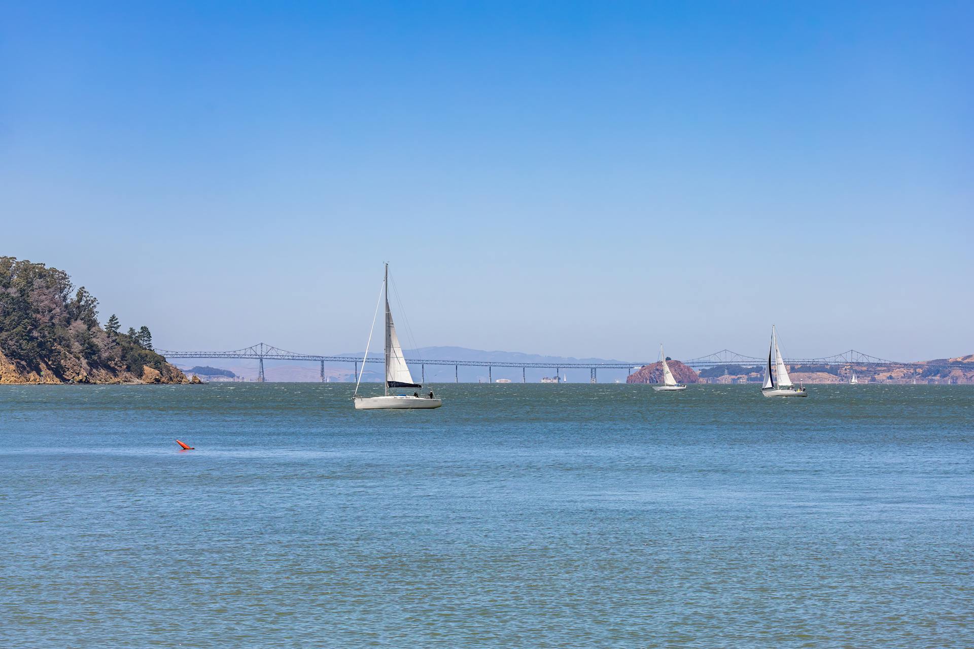 Sailboats glide peacefully near Richmond Bridge on a clear blue day.