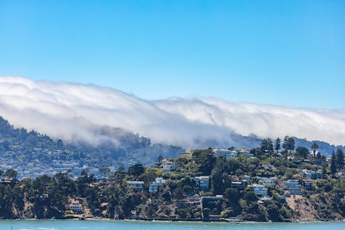 Foggy Waterfront Hilltop Houses Photo