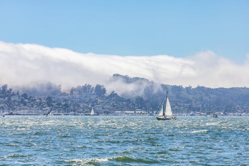 Sailing near Sea Shore