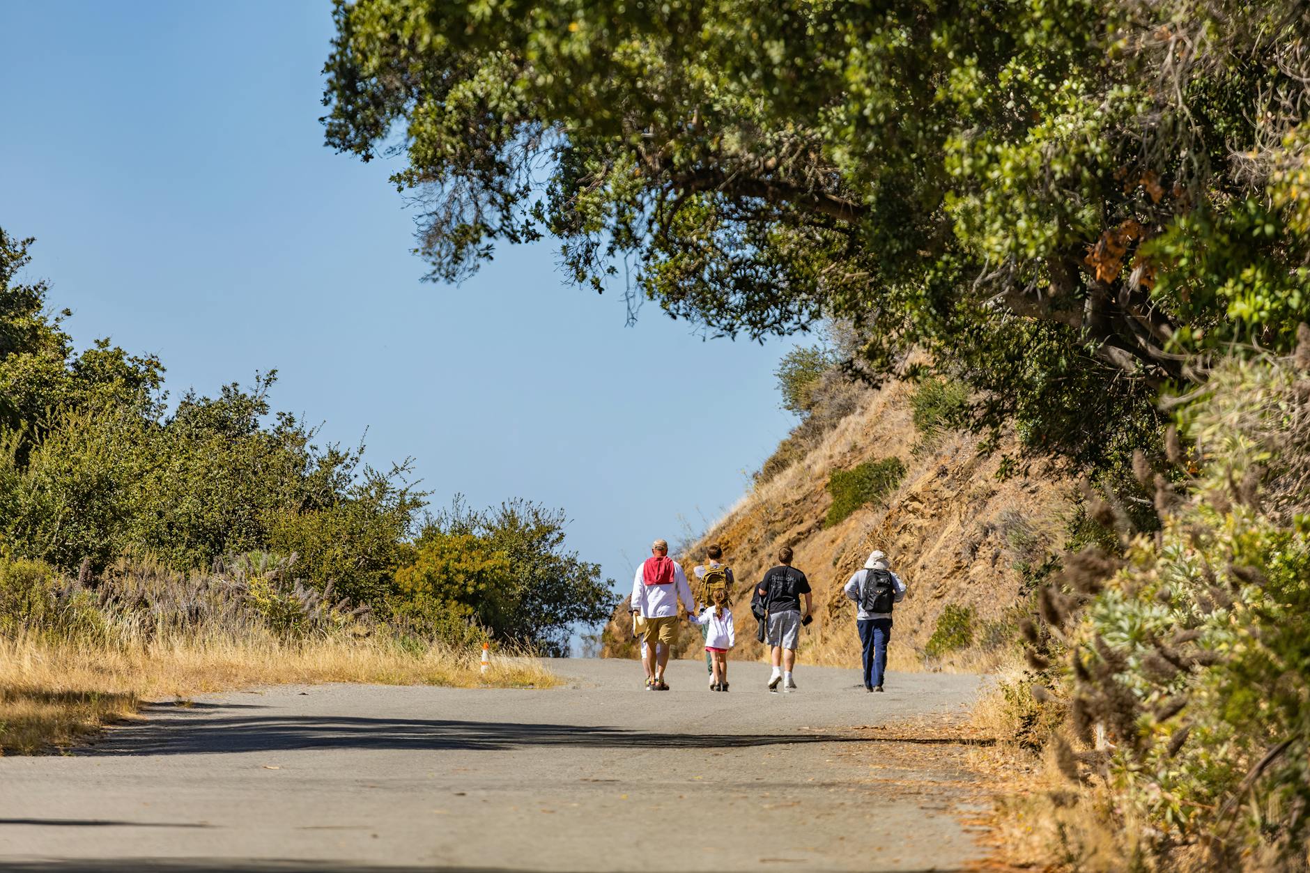 A family enjoying a leisurely hike on a scenic mountain trail under a bright blue sky.