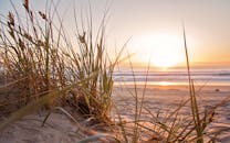 宁静的海滩、日落时的沙丘和草地，以及背景中反射的海面