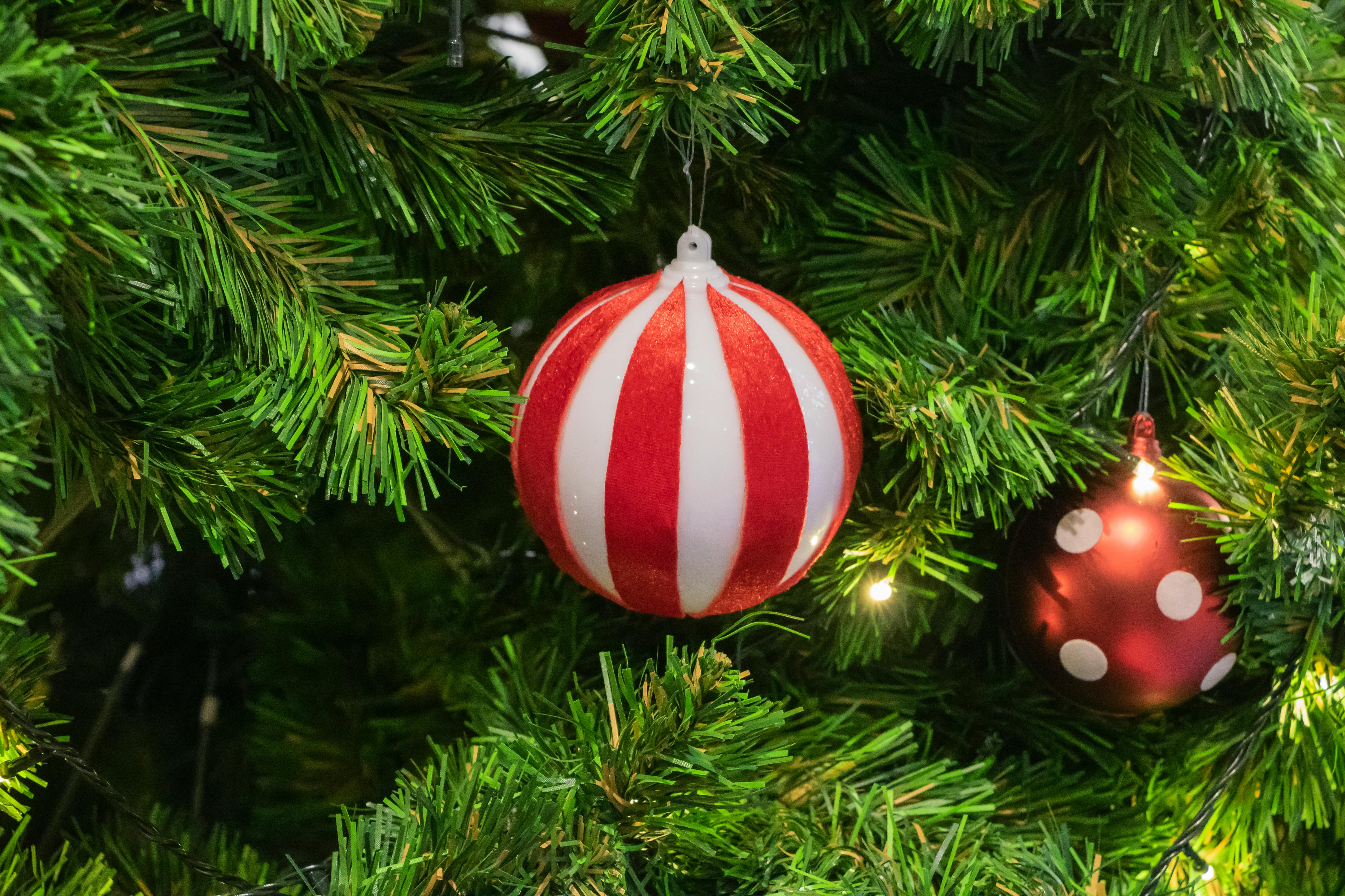 Close Up Photo of Christmas Balls on Christmas Tree · Free Stock Photo