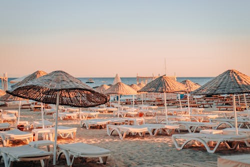 Foto d'estoc gratuïta de Costa, para-sols de platja, platja