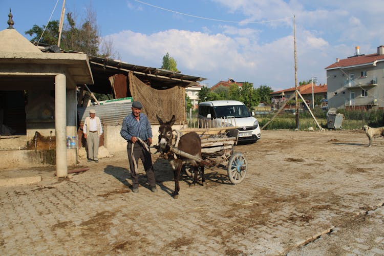 Man Donkey And Cart At Construction Site