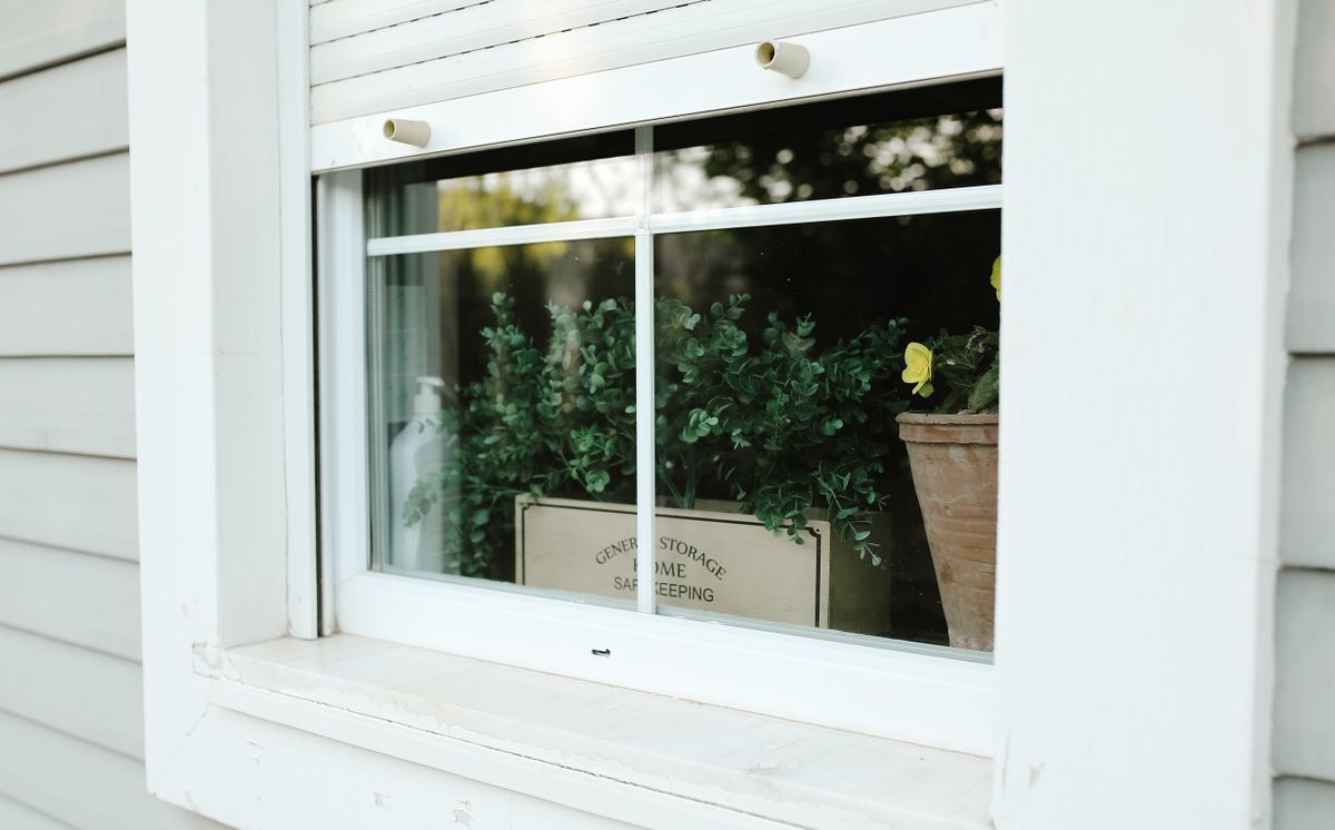 Blick durch ein Fenster mit Pflanzen auf einen begrünten Garten, typische Lage einer Erdgeschosswohnung