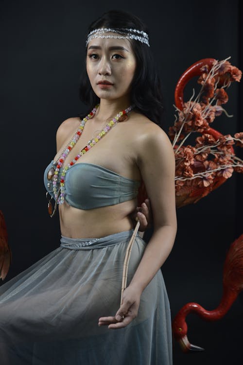 Ilmainen kuvapankkikuva tunnisteilla aasialainen nainen, asento, kaunis