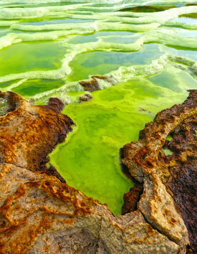 Volcanic Landscape With Geothermal Ponds