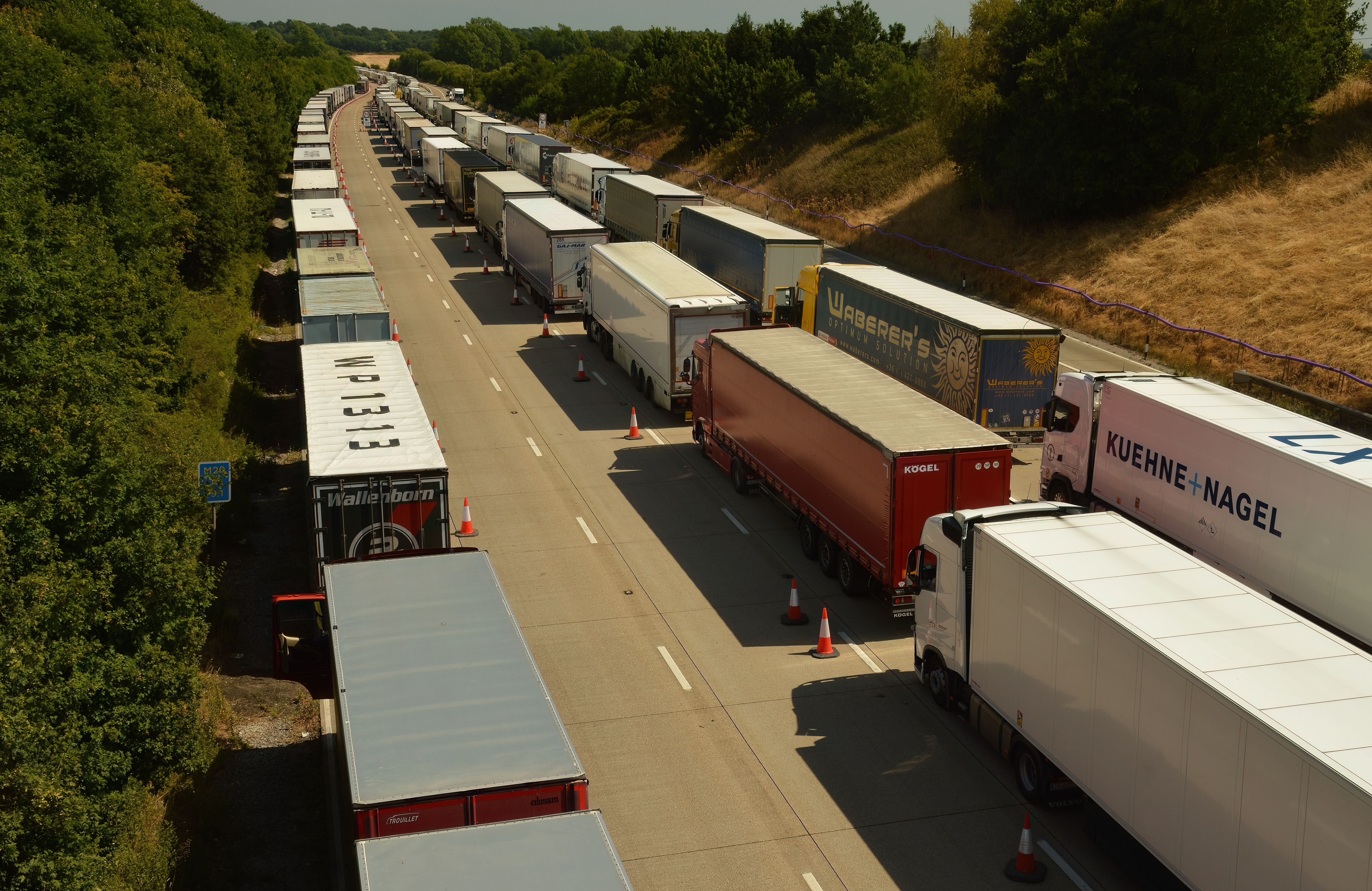 Queue of lorries stopped along a motorway bordered by trees and dry grass
