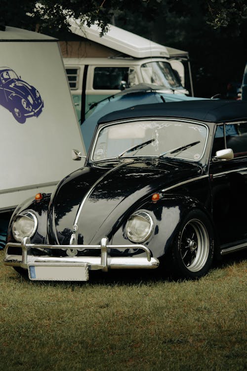 Free A Black Volkswagen Beetle on Grass Stock Photo