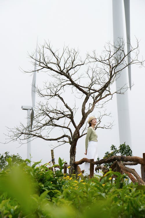 Photos gratuites de arbre nu, debout, femme