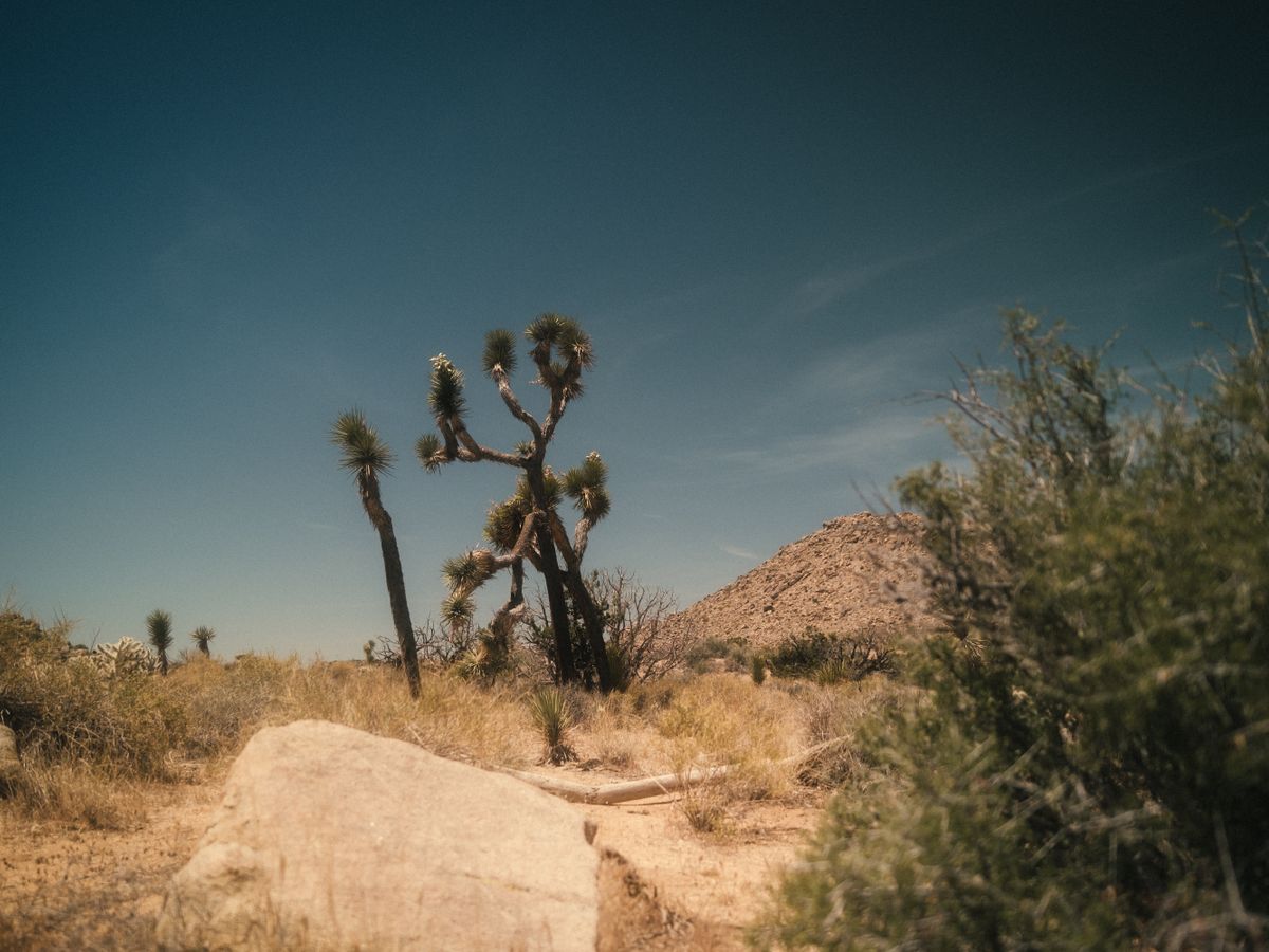 Desert Web Retreats 3