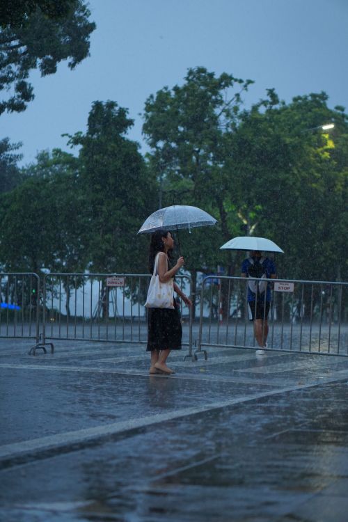 Free A woman walking with an umbrella during a rainy day, capturing mood and motion. Stock Photo