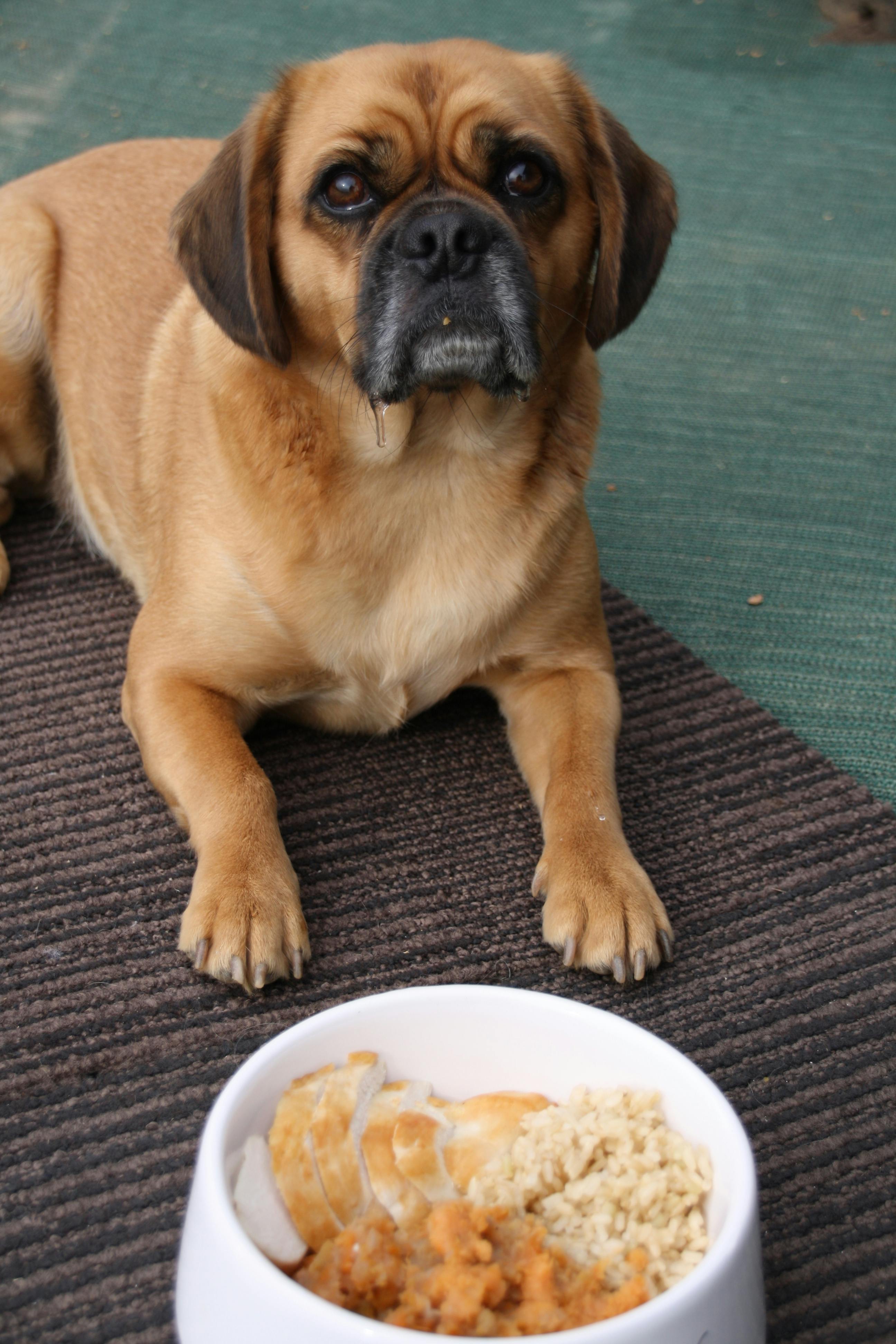 Green Bay Packers helmets