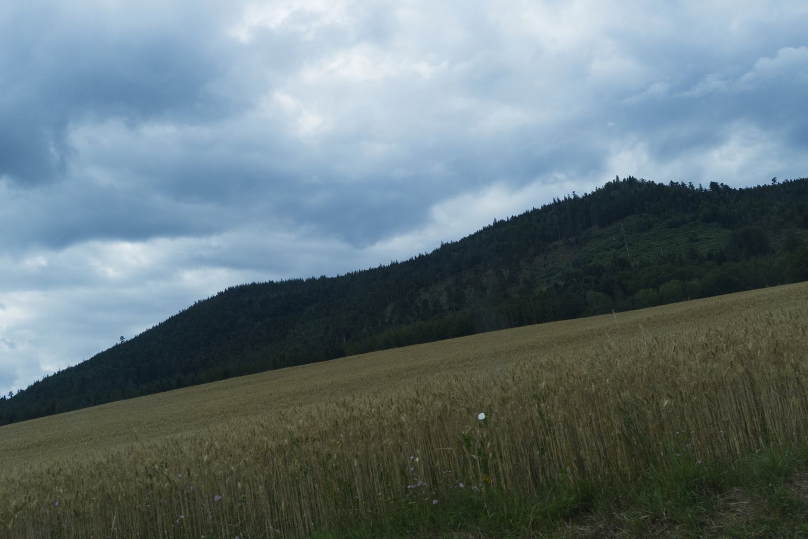Montagne Vosgienne