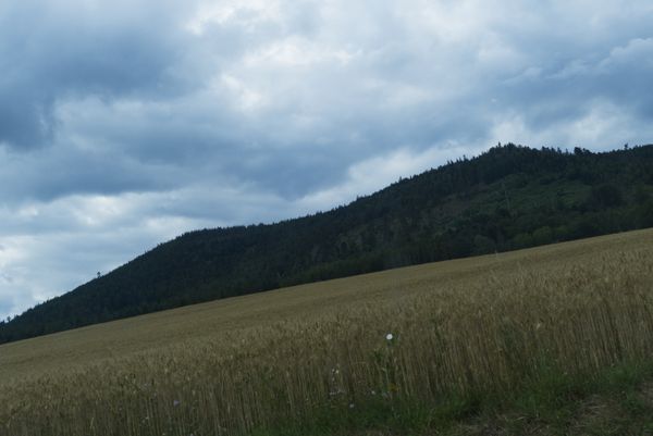 Montagne Vosgienne