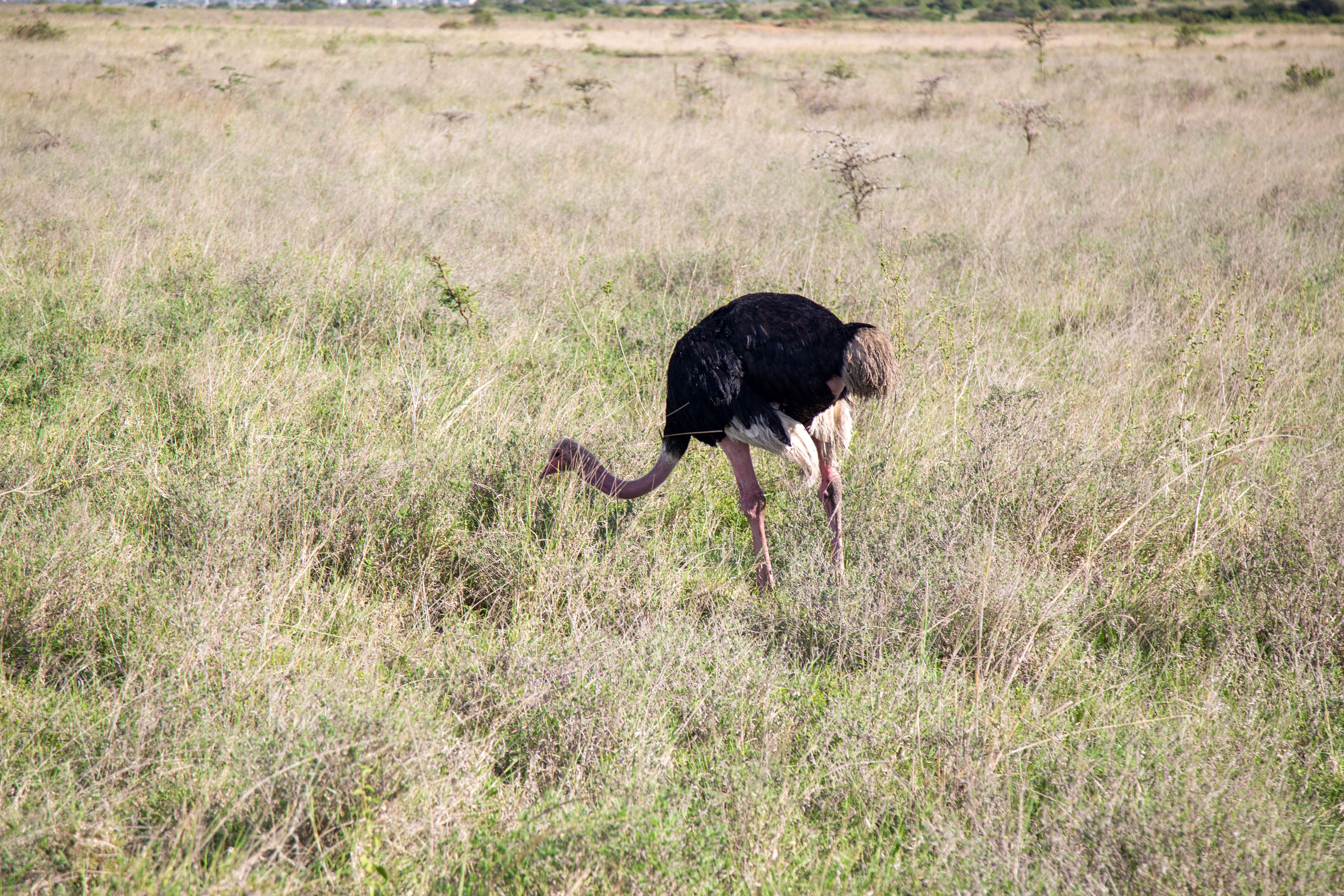 Kenya Flags 18 Counties as High-Risk Ahead of El Niño Season