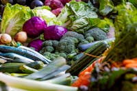 Local farmers