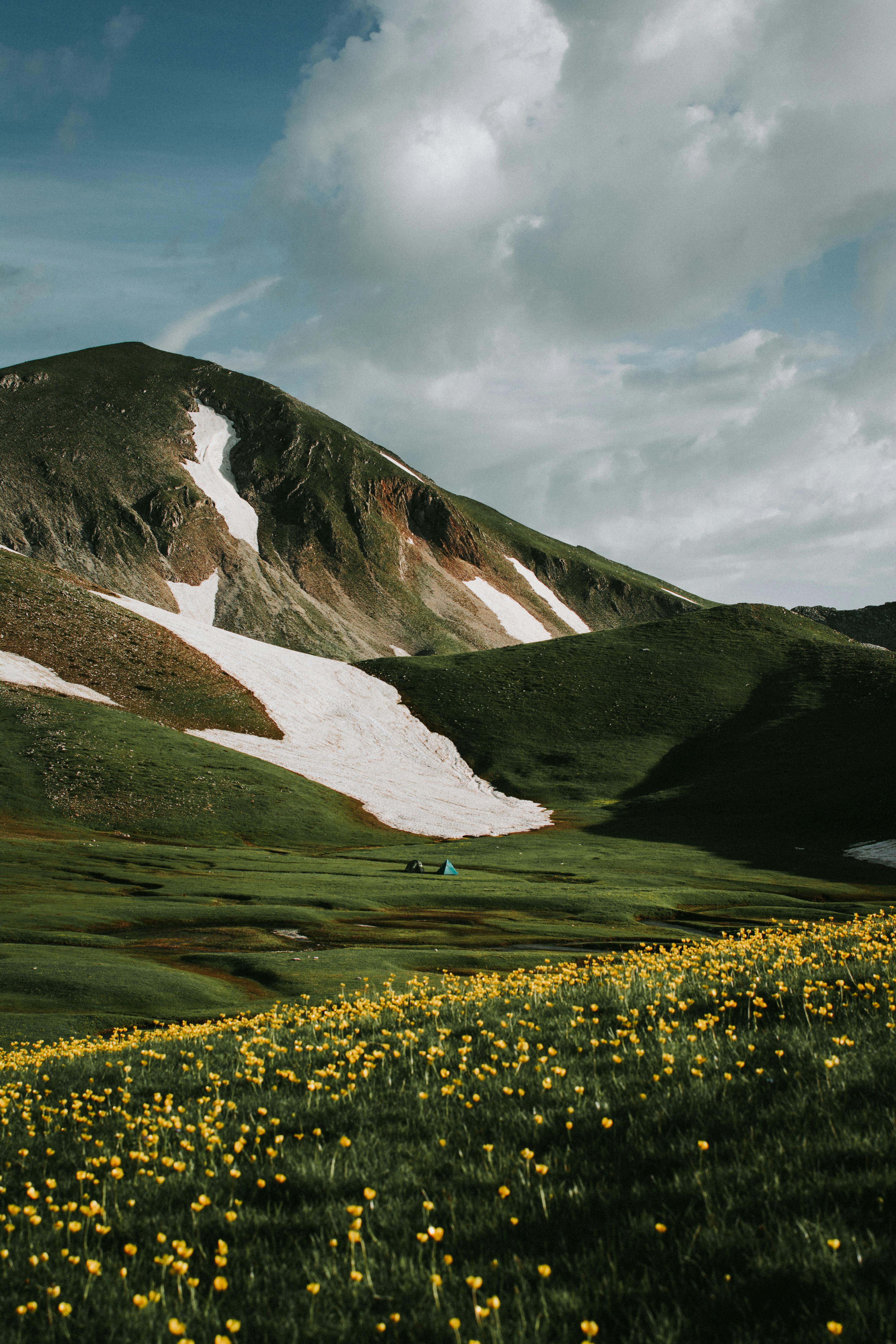 Breathtaking view of a mountain with snow patches, lush green valley, and vibrant wildflowers.