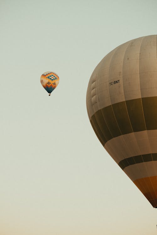 Základová fotografie zdarma na téma čisté nebe, doprava, horkovzdušný balón