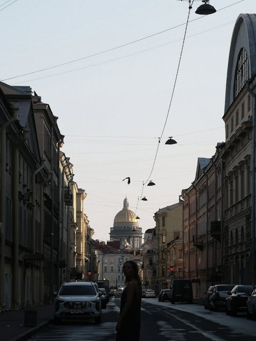 サンクトペテルブルク, シティストリート, シルエットの無料の写真素材