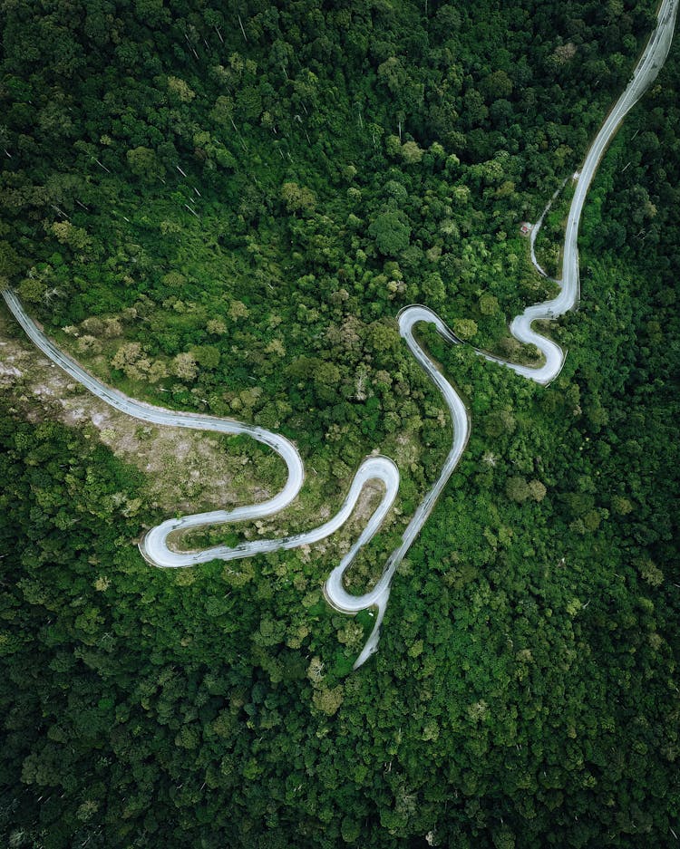 Aerial View Of Serpent Road In Forest