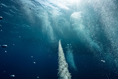 A Rope Anchor Underwater