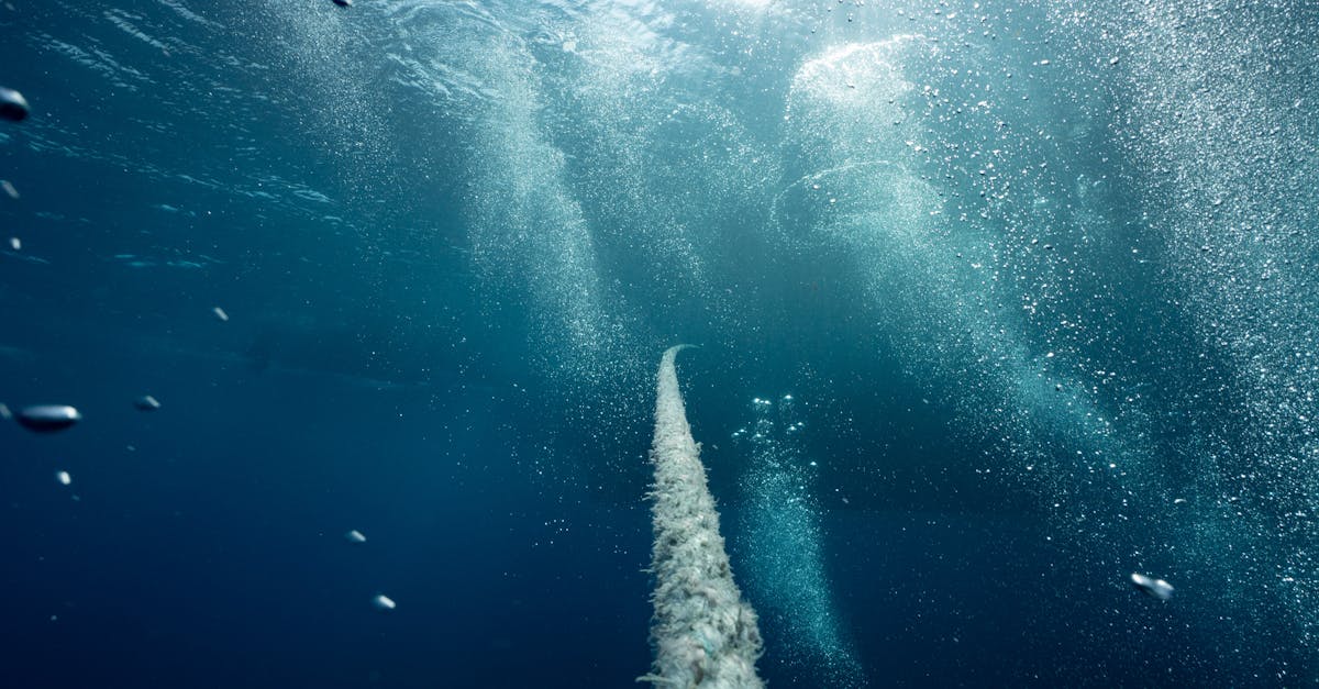 How deep is Lake Erie at its deepest point