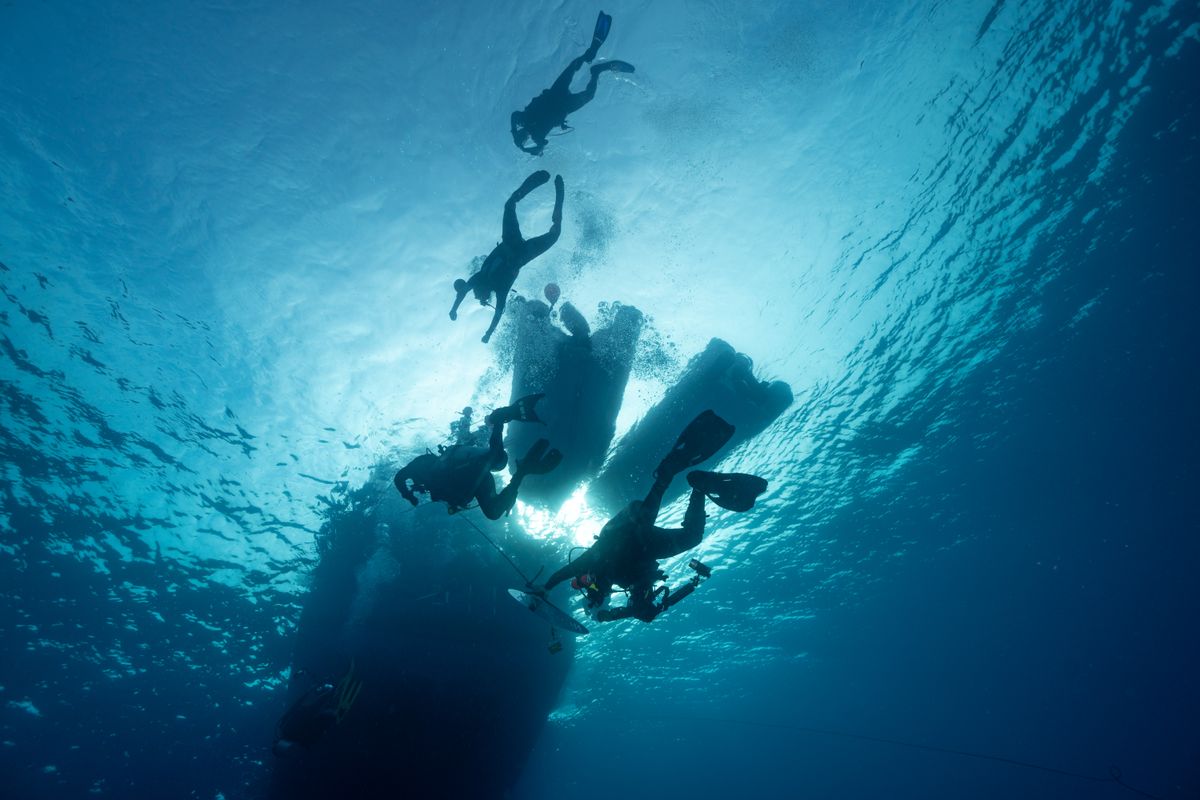 Silhouetted divers ascending toward the surface