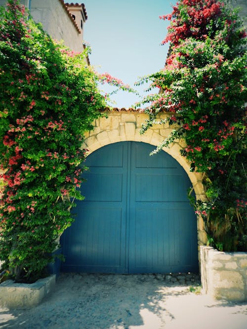 Foto profissional grátis de porta de entrada, portão azul, tiro vertical