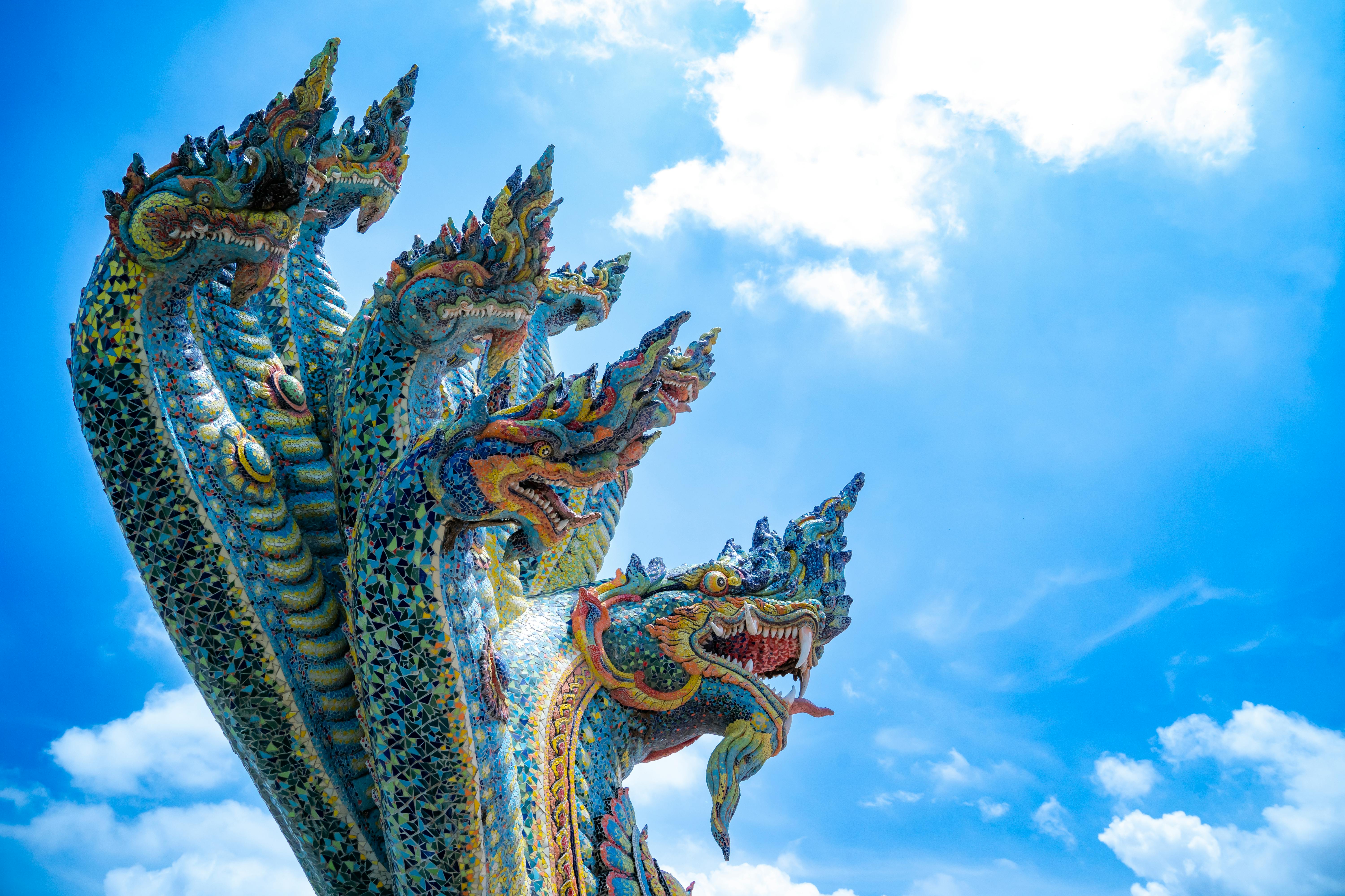 273,540 Dragon Stock Photos - Free & Royalty-Free Stock Photos