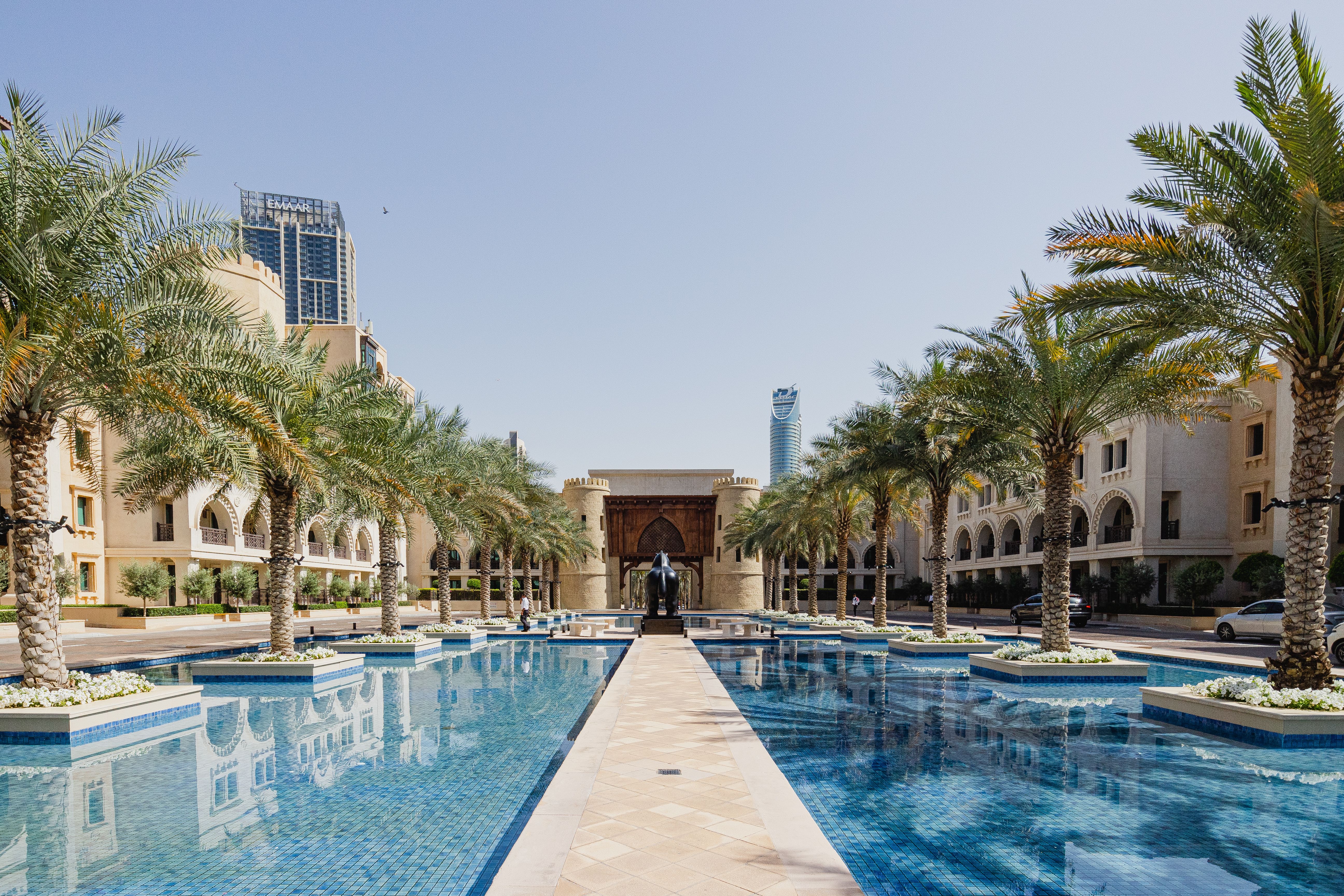 Palm trees beside a resort swimming pool (atmosphere photo)