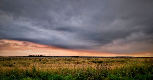 Free Captivating rural landscape under dark cloudy sky during sunset with flat grassland. Stock Photo