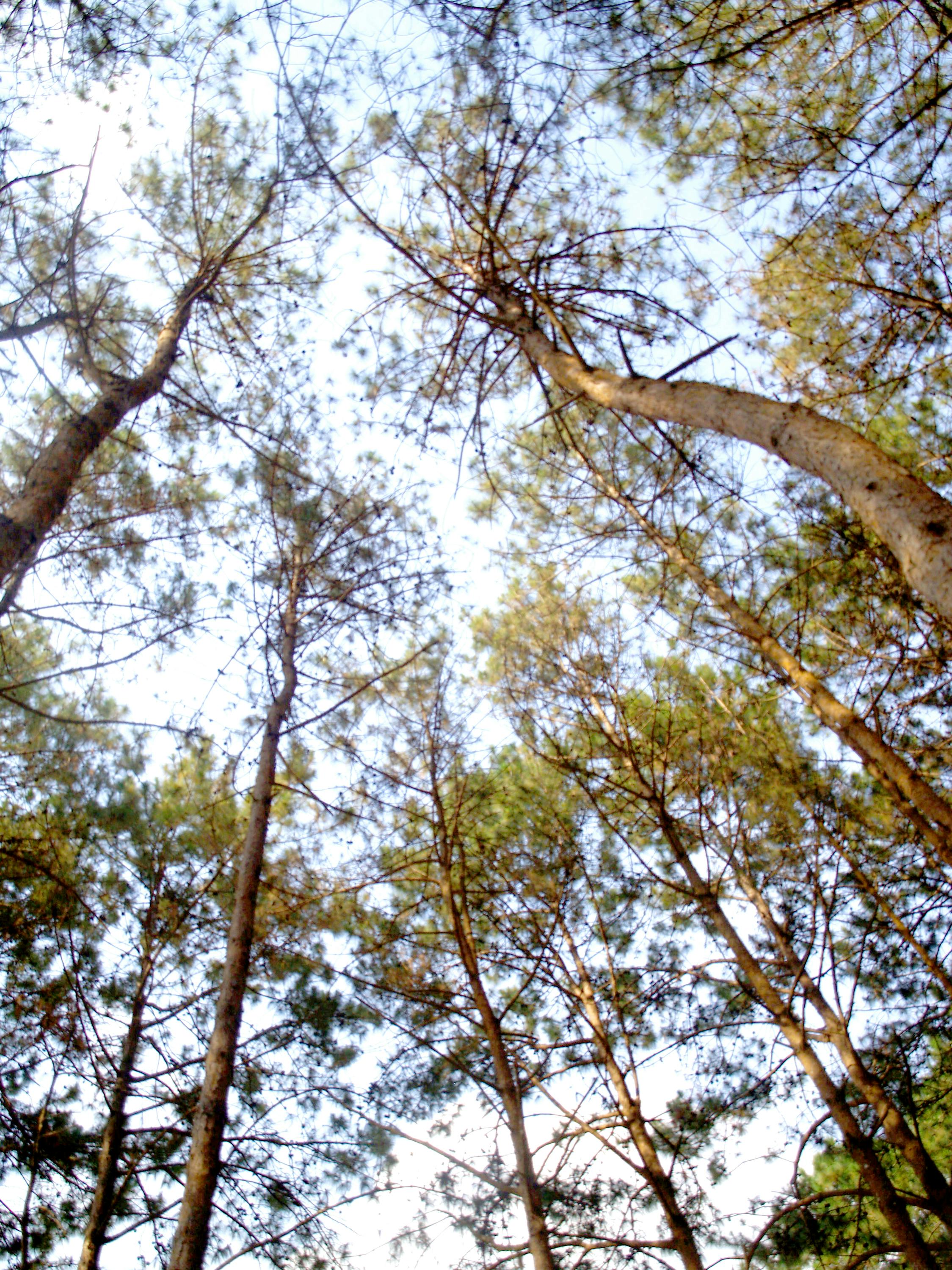 Musicians in harmony