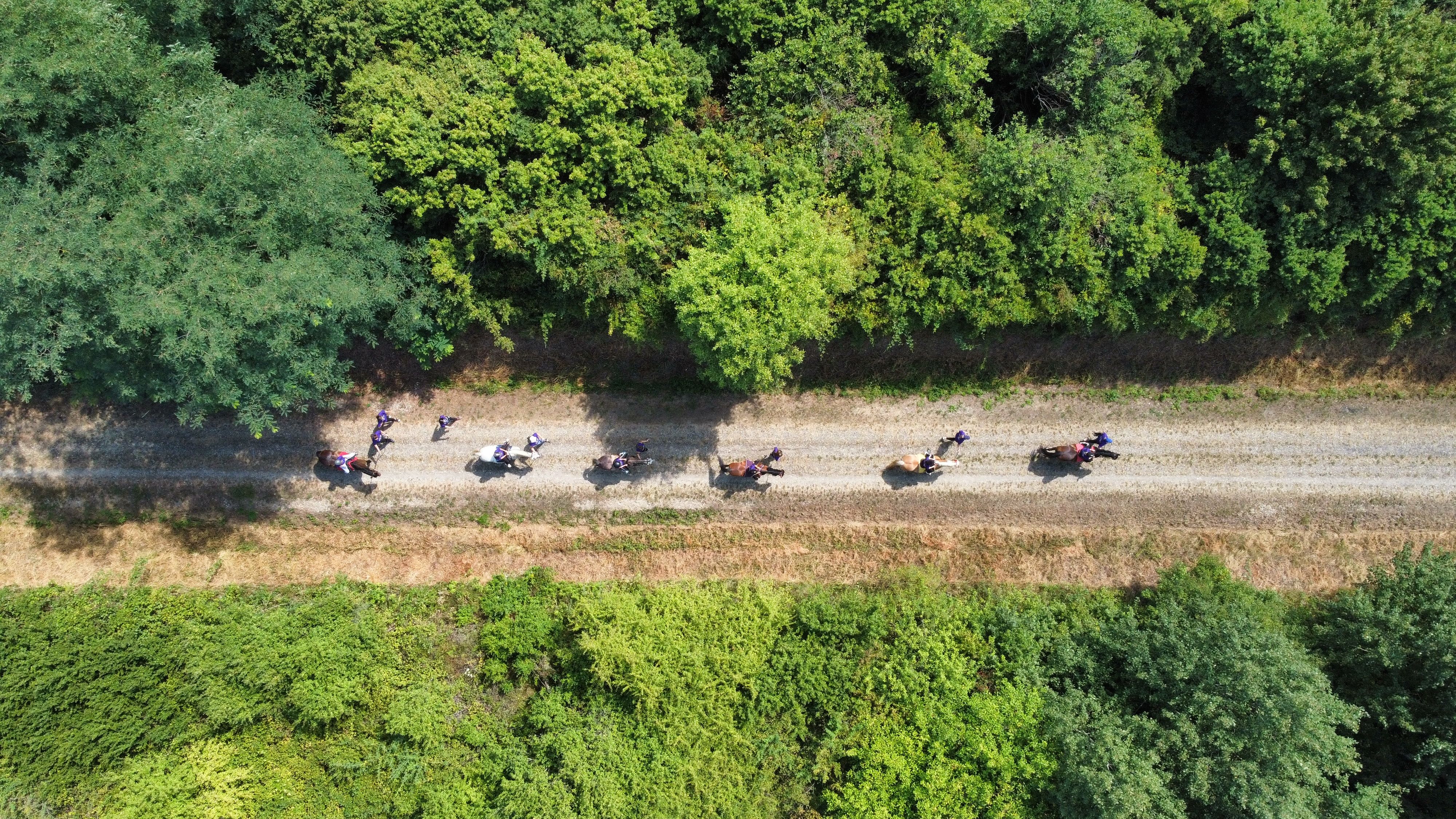Experienced riders cantering through bushland on a guided trail ride