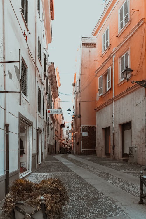 Cobblestone Alley in the Old Town between Traditional Buildings 