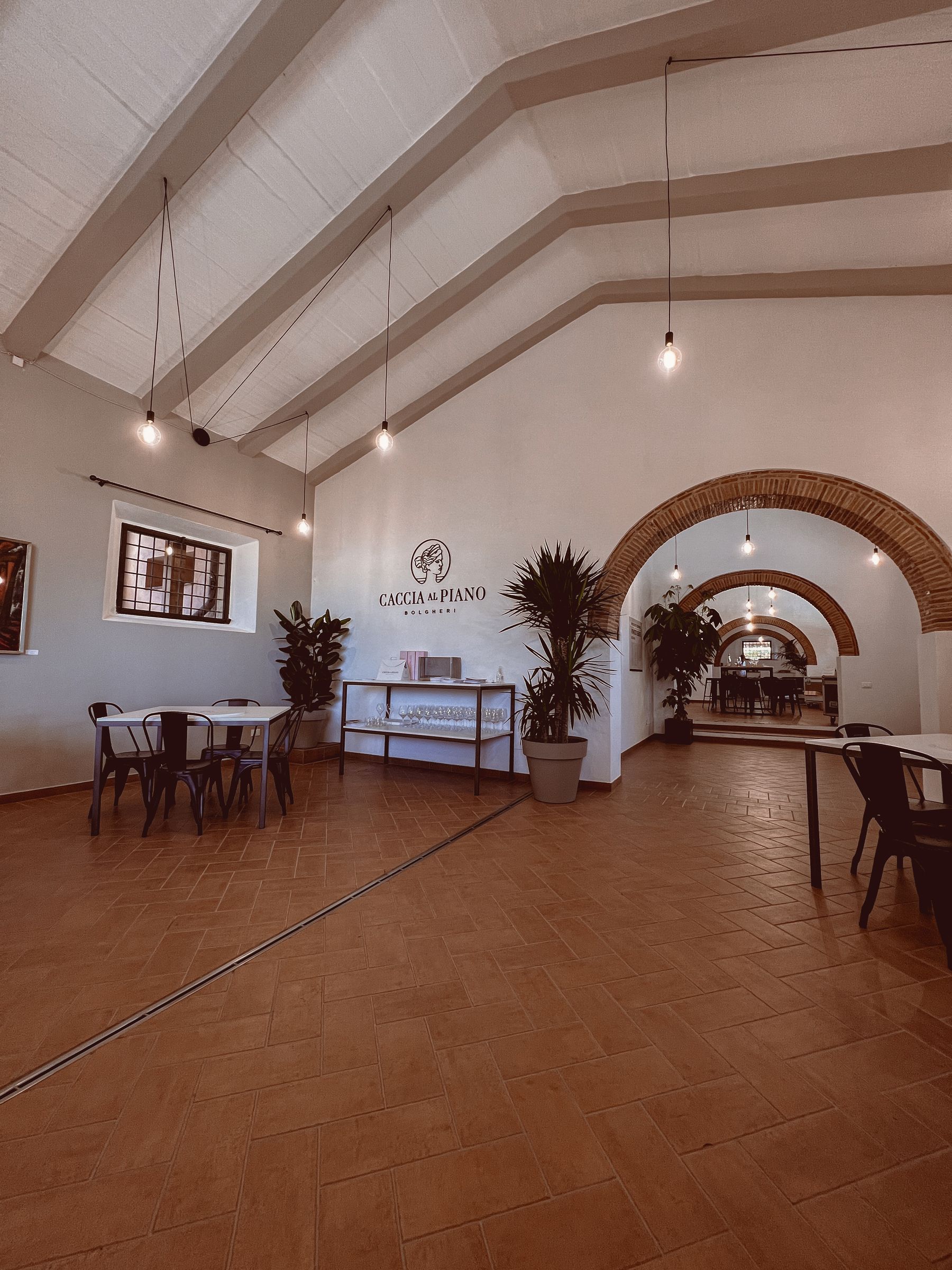 Hotel Calma concept