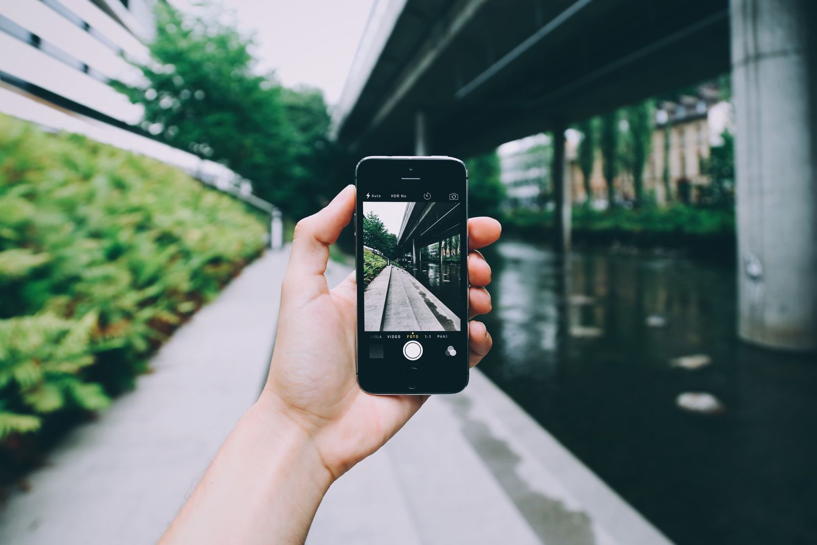 Person taking a photograph with a smartphone