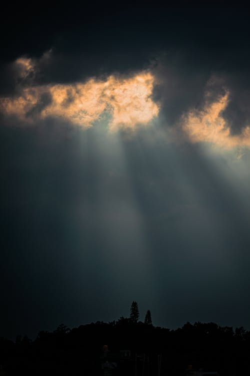 Silhouette of Forest under Sun Rays from Cloudy Sky