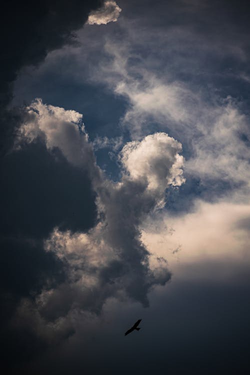 Základová fotografie zdarma na téma létání, mraky, obloha